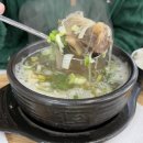 역전뼈다귀 이미지