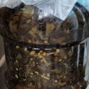 대박4농장 이미지