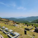 삼덕공원 앞 이미지