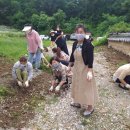 왕선초등 이미지