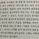 꿀밀 이미지