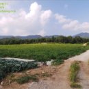 창촌초 운두분교장 이미지