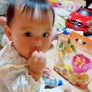 혜원목장 이미지