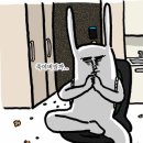카맨샵 이미지