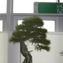 지지명품 이미지