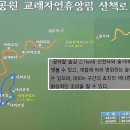 교래자연휴양림 이미지