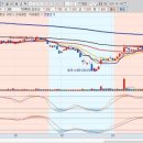 메디컬옥션 이미지