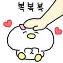 제부JJ펜션 이미지