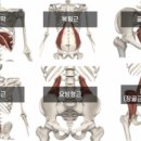 베르데미 이미지