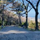 사라봉공원 이미지