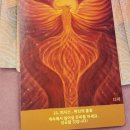 드레스카페 | 컬러로 읽는 마음: 전주 이색 카페추천<드레스카페 테리> 방문 후기