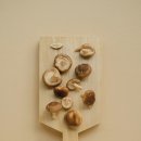 대원메디텍 이미지