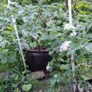 하모니민박 이미지