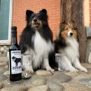 위드어스 와이너리 이미지