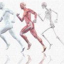 밸류온피트니스 이미지