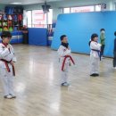 금성체육관(태권도) 이미지