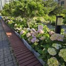 온누리공원 화장실 이미지