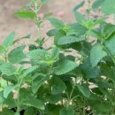 해,바람 이미지