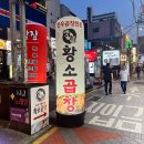 옛날황소곱창 | 📍구로디지털단지역 맛집 | 구디 직장인들의 퇴근 맛집 ’옛날황소곱창‘ 내돈내산 솔직후기