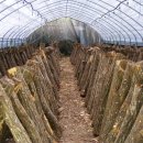 동표농장 이미지