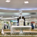 [부산] 백양산 “애진봉 철쭉” 산행후기---2026년 4월 26일(일) 이미지