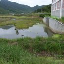 비봉리 패총전시관 이미지