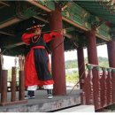 충주태권도 이미지