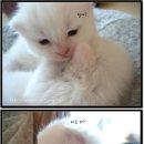 아잉 이미지