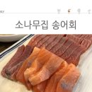 소나무집 이미지