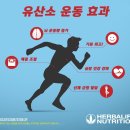 하하점핑클럽 네이버블로그