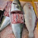 단골수산 이미지