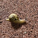 (주)마이미 이미지