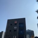 오다요가 | 인사동 다오다요가 스튜디오에서 하타요가해 본 후기