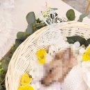 모두사랑장례