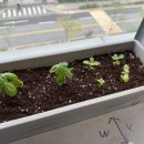 우리성심의원 이미지