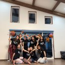 사랑방펫 이미지