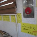 아지매식당 이미지