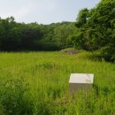 서리상반고려백자요지 이미지