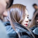 족장 이미지