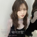숩틸 이미지