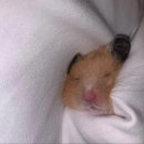 남영노인병원 | turning Point