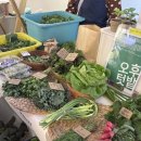 식식마켓