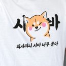 저스트히트(JUSTHIT)