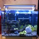 바글바글PC 이미지