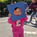 신남어린이집 | 자연 속에서 배우며 자라는 방화동어린이집 아이들, 주말마다 숲체험 진행 중!