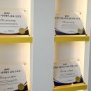 옐레드애견유치원&애견호텔동탄예당점