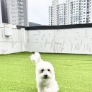 아이멍그라운드 이미지