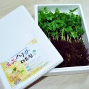 삼순농장 이미지