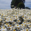 기문농장 이미지