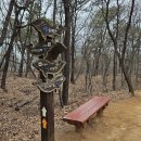 선학역 Daum카페